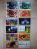 Interesting COLLECTION 12 Different EYES & NOSE Cards Cartes Karten From W/w. Augen Nase Yeux Et Le Nez - Collections