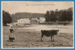 29 - LA FORÊT FOUSNANT --  Vue Générale De L'Anse - La Forêt-Fouesnant