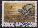 2010 Hungary  - Snake - Vipera - Slangen