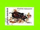 Timbre Oblitéré Used Mint Stamp Selo Carimbado ORYCTES NASICORNIS 960 L ROUMANIE 1996 - Gebruikt