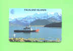 FALKLAND ISLANDS  -  Magnetic Phonecard As Scan - Falkland