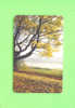 LITHUANIA  -  Chip Phonecard As Scan - Litouwen