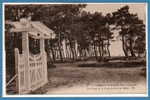 33 - ANDERNOS Les BAINS -- Les Dunes Et La Forêt De..... - Andernos-les-Bains