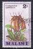 Malawi 1979 Mi. 306    2 T Flower Blume Orchideen Orchid - Malawi (1964-...)