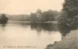 BELGIQUE - BRUXELLES - BOIS DE LA CAMBRE (Le Lac) - Bosques, Parques, Jardines