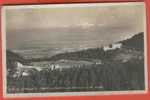 G118, St.- Cergues , Les Sapins , Les Hôtels Et Le Mont - Blanc , 313 , Circulée  1909 - Saint-Cergue