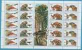 1994YU MH2647-50 STRIP JUGOSLAVIA JUGOSLAWIEN JUGOSLAVIJA FAUNA BIRDS NEVER HINGED - Unused Stamps