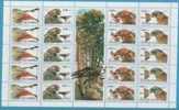 1994YU MH2647-50 STRIP JUGOSLAVIA JUGOSLAWIEN JUGOSLAVIJA FAUNA BIRDS NEVER HINGED - Nuevos