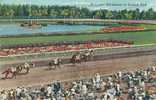 Mid Season At Hialeah Park - D. C. 103-  Horse Racing - Reitsport