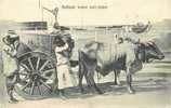 YEMEN , Bullock Water Cart Aden , *9898 - Yémen