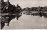 CPSM 78 - Le Perray En Yvelines - L'Etang De Gruyer - Le Perray En Yvelines