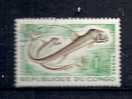 143   (OBL)   Y  &  T   (chauliodus Sloanéi Poissons Et Céphalopode Abyssaux)     CONGO - Used