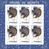 Birds Kiwis ,minisheet 1998  MNH Romania. - Kiwis