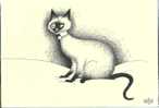 Chat, Dessin D´Albert Dubout, Circulée - Dubout