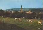 Cerfontaine - Panorama - Cerfontaine