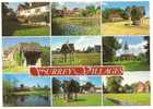 Surrey Villages Betchworth Dunsfold Buckland Chiddingfold Brockham Green Leigh Ockley....... - Surrey