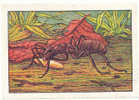 Image / Fourmi Portant Une Nymphe / Insecte - Ant - Fourmis // Ref IM 6-K/234 - Nestlé