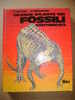 PAE/10 Da Rio Bignardi GRANDE ATLANTE DEI FOSSILI VERTEBRATI /paleontologia - Histoire, Philosophie Et Géographie