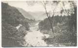 Borrowdale Birches - Borrowdale