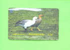 FALKLAND ISLANDS  -  Magnetic Phonecard As Scan - Falkland