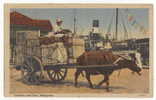 PHILIPPINES - MANILA, CARABAO And CART, Old Postcard - Philippines