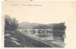 5421-TORINO-PONTE REGINA MARGHERITA-FP - Pontes