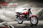 Y34-90  @   Motorbikes Motos Motorfietsen Motorräder Moto  , ( Postal Stationery , Articles Postaux ) - Motorbikes