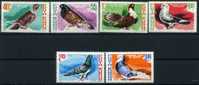 1981, Romania., Serie Uccelli , Serie Completa Nuova (**) - Pigeons & Columbiformes