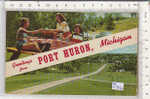 PO6787A# MICHIGAN - PORT HURON - PIC NIC  No VG - Autres & Non Classés