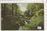 PO6793A# NEWCASTLE-UPON-TYNE - JESMOND DENE  VG 1967 - Newcastle-upon-Tyne