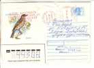 GOOD RUSSIA Postal Cover To ESTONIA 1999 - Bird - With Franco Cancel - Lettres & Documents