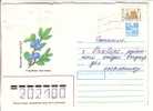 GOOD RUSSIA Postal Cover To ESTONIA 1993 - Good Stamped - Covers & Documents