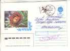 GOOD RUSSIA Postal Cover To ESTONIA 1994 - Flower - Good Stamped - Brieven En Documenten