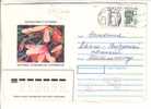 GOOD RUSSIA Postal Cover To ESTONIA 1996 - Good Stamped - Brieven En Documenten