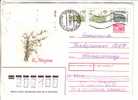 GOOD RUSSIA Postal Cover To ESTONIA 1996 - Good Stamped - Storia Postale