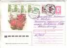 GOOD RUSSIA Postal Cover To ESTONIA 1996 - Good Stamped - Storia Postale