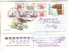 GOOD RUSSIA Postal Cover To ESTONIA 1996 - Good Stamped - Storia Postale