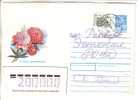 GOOD RUSSIA Postal Cover To ESTONIA 1996 - Good Stamped - Brieven En Documenten