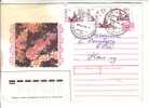 GOOD RUSSIA Postal Cover To ESTONIA 1996 - Good Stamped - Lettres & Documents