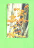 ROMANIA  -  Chip Phonecard As Scan - Rumania