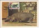 Carte Maximum DAHOMEY N° Yvert 274 (Hippopotame) Obl Sp Ill 1er Jour 1968 - Brieven En Documenten