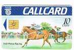 IRLANDA (IRELAND) - TELECOM EIREANN CHIP  - 1991 IRISH HORSE RACING   (GOLD CHIP, DAME LANE)    - USED  - RIF. 7853 - Caballos