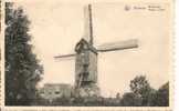 BEVEREN - Moulin à Vent - Beveren-Waas