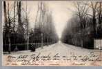 CPA 51 PONT FAVERGER L AVENUE DE LA GARE 1904 Dos Simple - Other & Unclassified