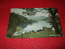 Ireland ,  Killarney , At Innisfallen 1907 Rare++++++ - Kerry