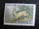 4388 Renne Reno Rentier Reinder Foret Boreale Nord North Gibier Hunter Chasse - Other & Unclassified