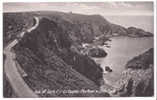 Channel Islands - Sark - La Coupee - The Road To Little Sark - Sark