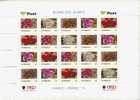 Österreich - Pers. Marke Serie Blumen Der Jahre 2007-2011 - Steiermark - Unused Stamps