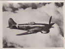 PHOTO L AVIATION ALLIEE LE TEMPEST CHASSEUR MONOPLACE DE LA R.A.F  DIM 96X71 - 1939-1945: 2ème Guerre