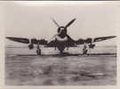 PHOTO L AVIATION ALLIEE BOMBARDIER CHASSEUR THUNDERBOLT P 47   DIM 96X71 - 1939-1945: 2a Guerra